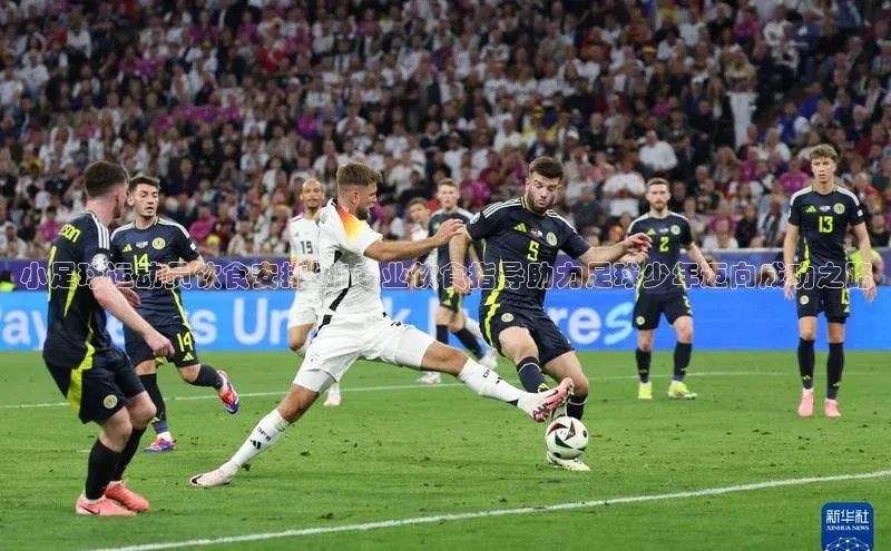 3377体育中国官方网站入口百度识图小足球运动员饮食安排图|专业饮食指导助力足球少年迈向成功之路