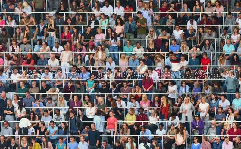 3377体育官网天下秀揭秘华裔足球运动员天乐FM的职业生涯和未来发展方向