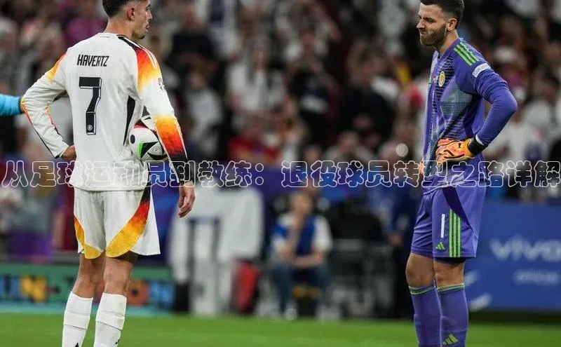 3377体育彩票app官网下载地址百度 H5从足球运动员到教练：退役球员转型之路详解