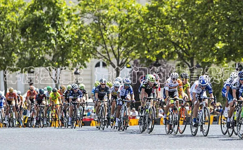 年度盛事：最热门的体育赛事