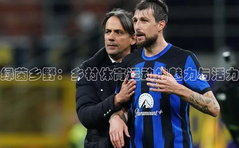 绿茵乡野：乡村体育运动的魅力与活力