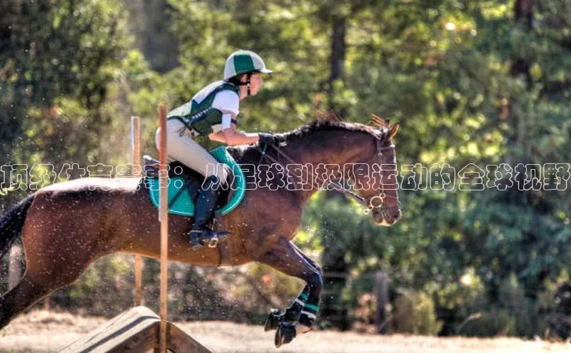 顶级体育赛事：从足球到极限运动的全球视野