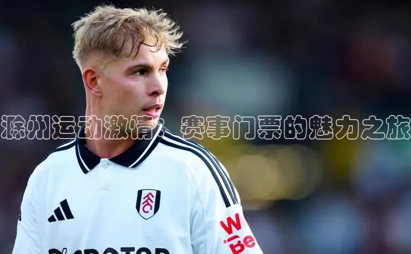 滁州运动激情：赛事门票的魅力之旅