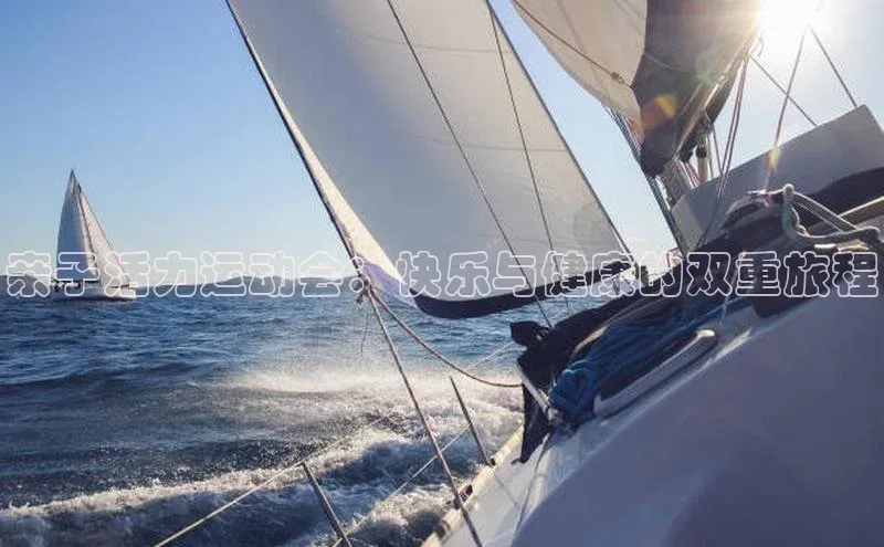 亲子活力运动会：快乐与健康的双重旅程