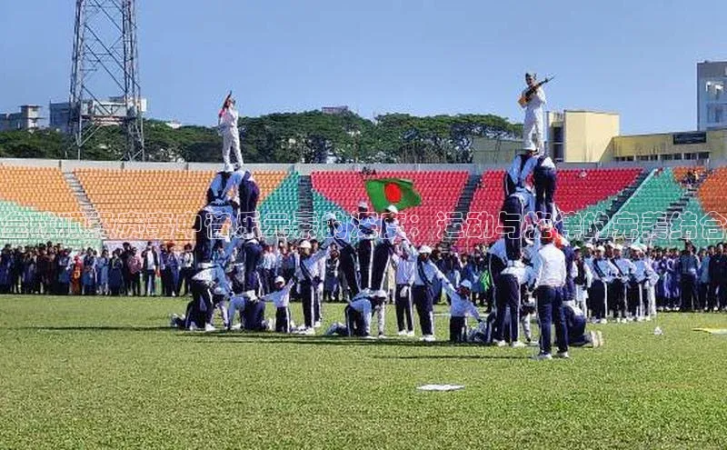 全球顶级赛事中音乐元素的深度：运动与旋律的完美结合