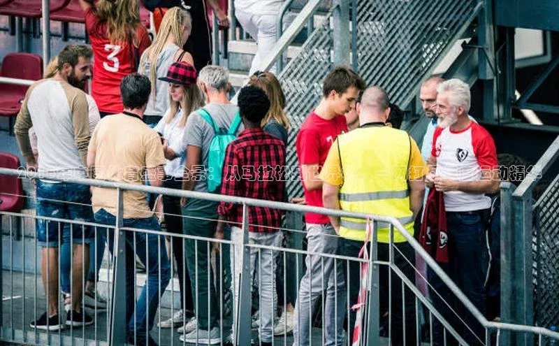 3377体育app登录入口