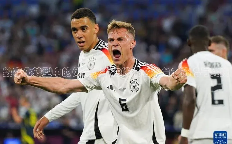 数字化转型中的体育赛事在线报名平台：策略与实践