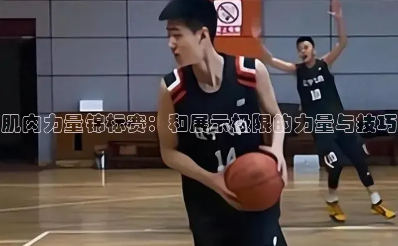 3377体育app登录入口手机版